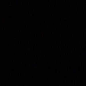 Meet your Posher, Ginnie